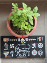 Rutuja Gajbhiye review photo