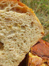 UwolnijOczy review photo