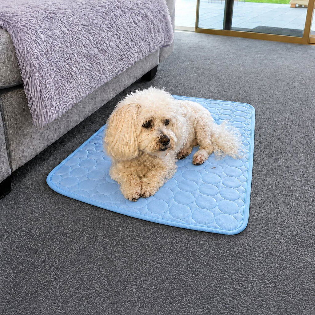 Älterer Hund auf einer Kühlmatte
