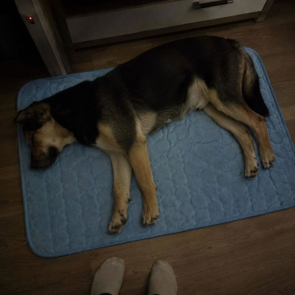 Kühlmatte für Hunde