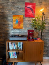 seiya kazahari review photo
