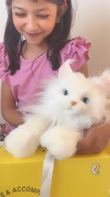 Faria review photo