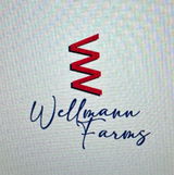 Sharon Wellmann review photo