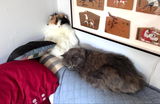 Etsy customer review photo