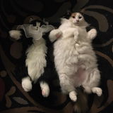 Etsy customer review photo