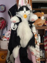 Kitty . review photo