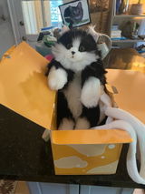 Etsy customer review photo