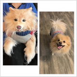 Etsy customer review photo
