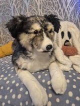 Etsy customer review photo