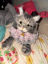 Etsy customer review photo