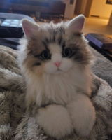 Etsy customer review photo