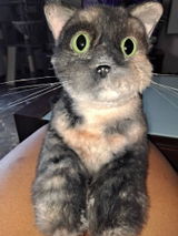 Etsy customer review photo