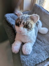 Etsy customer review photo
