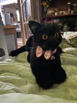 Etsy customer review photo