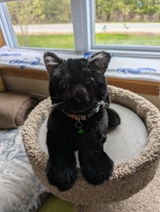 Etsy customer review photo
