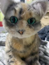 Etsy customer review photo