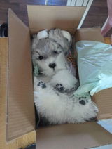Etsy customer review photo