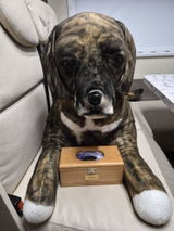 Vanesa review photo