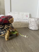 Chou Cherie pet beret