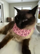 Grrryard Pink Pet Bandana (reversible 4-way wear)