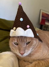 Sunday Sundae Pet Hat