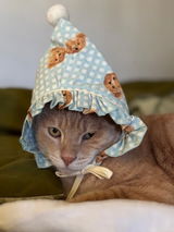 Teddy Bunny Pet Hat