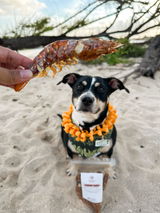 Jenn & Stella | @stellainhawaii review photo