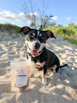 Jenn & Stella | @stellainhawaii review photo