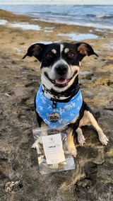 Jenn & Stella | @stellainhawaii review photo