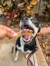 Jenn & Stella | @stellainhawaii review photo