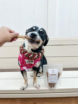 Jenn & Stella | @stellainhawaii review photo