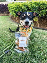 Jenn & Stella | @stellainhawaii review photo