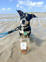 Jenn & Stella | @stellainhawaii review photo