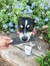 Jenn & Stella | @stellainhawaii review photo