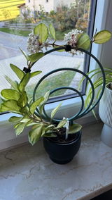 Rankhilfe Orbit