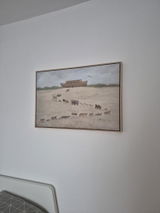 Dajana S. review photo