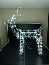 Todd R. review photo