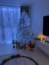 Lucia review photo