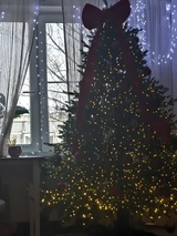 Lucia review photo