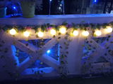 Prachi review photo