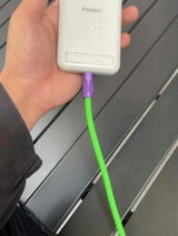Rex review photo