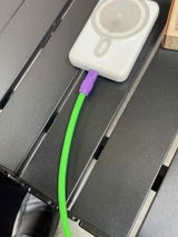 Rex review photo