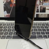 Nikolai review photo