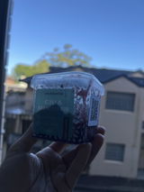 Elaine Yasutake Paturca review photo