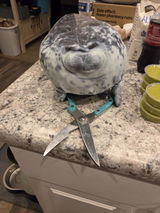 Anonymous review photo