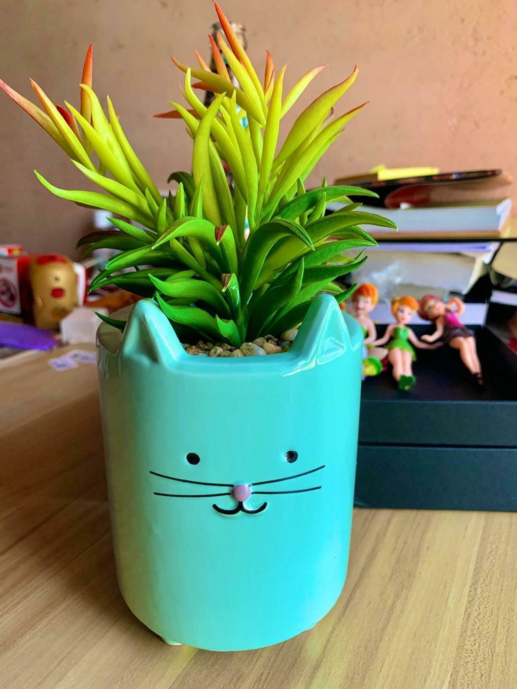 Product photo 1 from Amazon Customer’s review