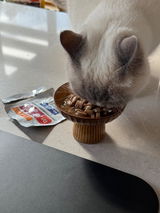 Neko review photo