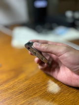 Jasper K review photo