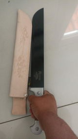 Carlos Cardoso review photo