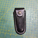 Ednei Silva review photo